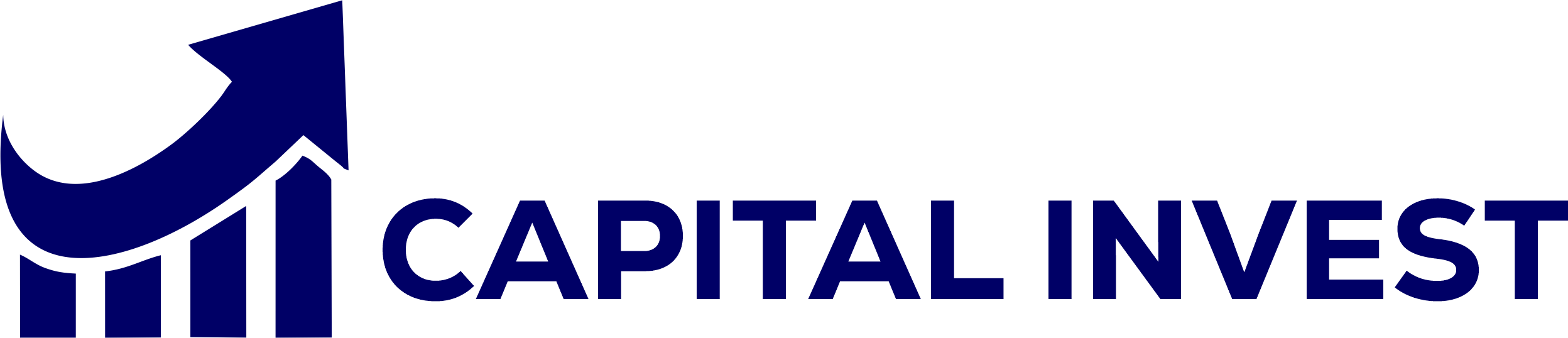 capital-investltd.com